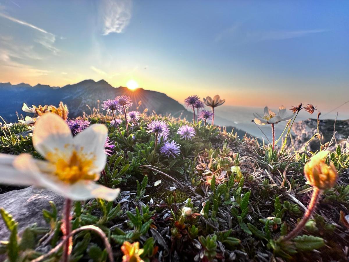 Ferienwohnung Gasser รอยท์เทอ ภายนอก รูปภาพ